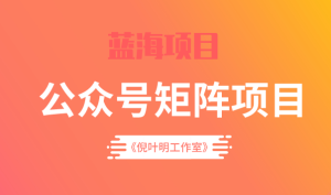 蓝海公众号矩阵项目训练营,0粉冷启动,公众号矩阵账号粉丝突破30w-墨痕微课