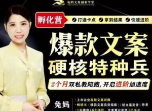 兔妈·爆款文案硬核特种兵孵化营,实现了每个月2000-30000 的副业增收-墨痕微课