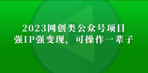 2023网创类公众号项目,强IP强变现,可操作一辈子-墨痕微课