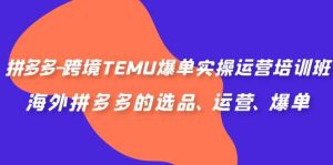拼多多-跨境TEMU爆单实操运营培训班,海外拼多多的选品、运营、爆单-墨痕微课