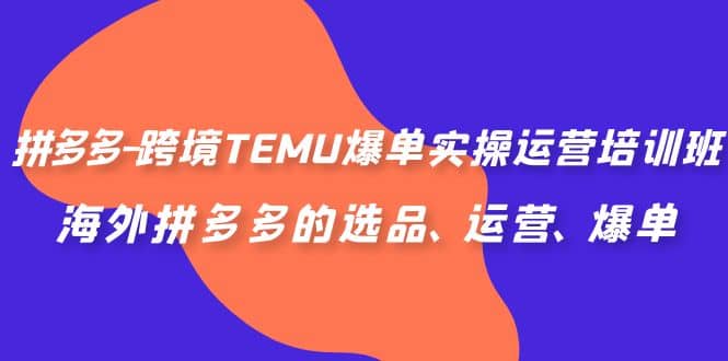 拼多多-跨境TEMU爆单实操运营培训班,海外拼多多的选品、运营、爆单-墨痕微课