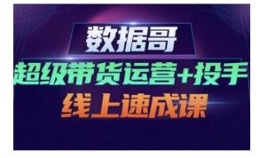 数据哥·超级带货运营 投手线上速成课,快速提升运营和熟悉学会投手技巧-墨痕微课