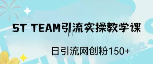 ST TEAM引流实操课,日引流网创粉100-墨痕微课