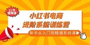 小红书电商进阶系统训练营:新手从入门到精通系统课(21节视频课)-墨痕微课
