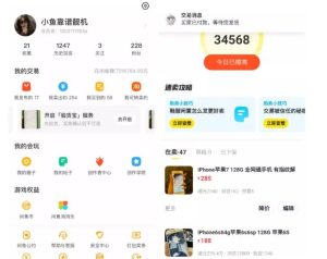 引流哥·闲鱼卖苹果手机项目,教你闲鱼卖货月入上万-墨痕微课