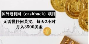 国外返利网（cashback）项目：无需懂任何英文，每天2小时，月入3500美元-墨痕微课