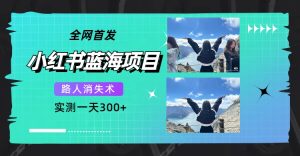 全网首发,小红书蓝海项目,路人消失术,实测一天300 (教程 工具)-墨痕微课