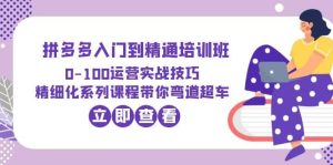 2023拼多多入门到精通培训班:0-100运营实战技巧 精细化系列课带你弯道超车-墨痕微课