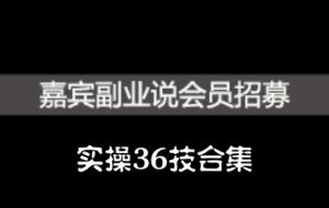 嘉宾副业说实操36技合集,价值1380元-墨痕微课
