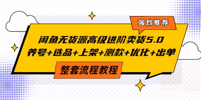 闲鱼无货源高级进阶卖货5.0,养号 选品 上架 测款 优化 出单整套流程教程-墨痕微课