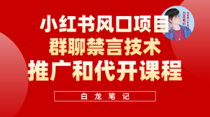 小红书风口项目日入300 ，小红书群聊禁言技术代开项目，适合新手操作-墨痕微课