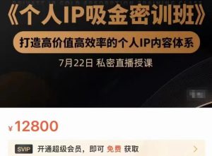 个人IP吸金密训班,打造高价值高效率的个人IP内容体系(价值12800元)-墨痕微课