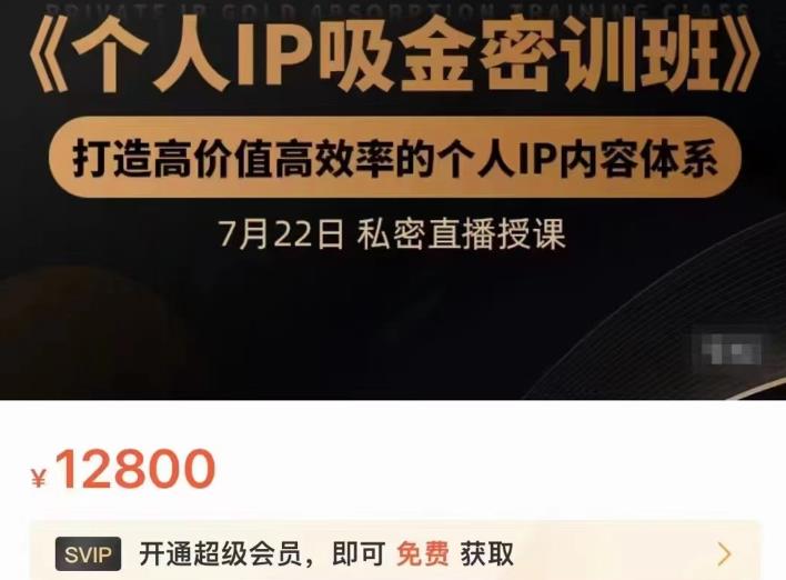 个人IP吸金密训班,打造高价值高效率的个人IP内容体系(价值12800元)-墨痕微课