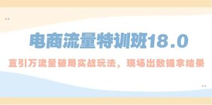 电商流量特训班18.0,直引万流量破局实操玩法,现场出数据拿结果-墨痕微课