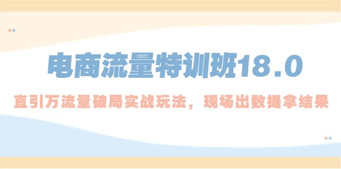 电商流量特训班18.0,直引万流量破局实操玩法,现场出数据拿结果-墨痕微课