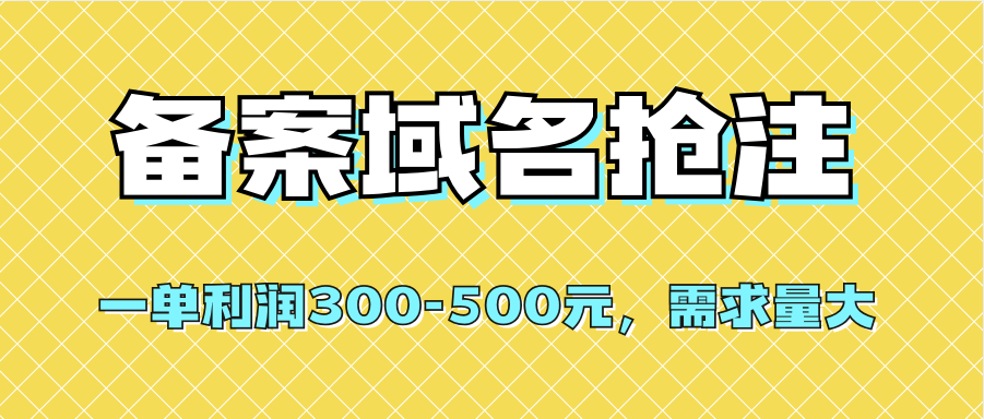 【全网首发】备案域名抢注，一单利润300-500元，需求量大-墨痕微课