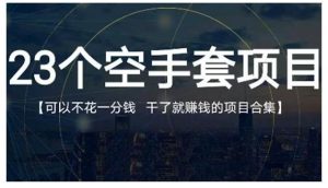 23个空手套项目大合集,0成本0投入,干了就赚钱纯空手套生意经-墨痕微课
