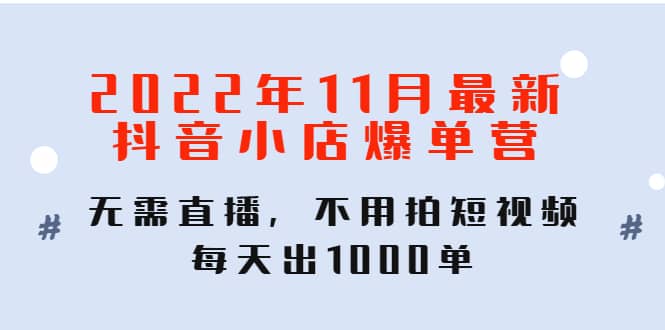 2022年11月最新抖音小店爆单训练营：无需直播，不用拍短视频，每天出1000单-墨痕微课
