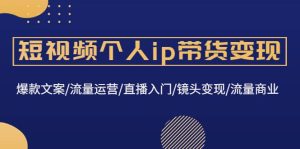 短视频个人ip带货变现:爆款文案/流量运营/直播入门/镜头变现/流量商业-墨痕微课