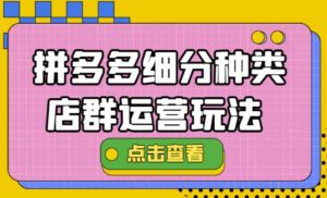 拼多多细分种类店群运营玩法3.0,11月最新玩法,小白也可以操作-墨痕微课