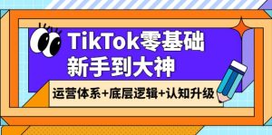 TikTok零基础新手到大神：运营体系 底层逻辑 认知升级（9节系列课）-墨痕微课