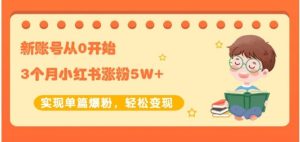 新账号从0开始3个月小红书涨粉5W 实现单篇爆粉,轻松变现(干货)-墨痕微课