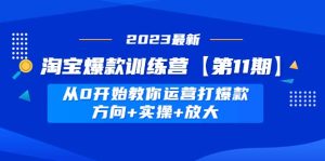 淘宝爆款训练营【第11期】 从0开始教你运营打爆款,方向 实操 放大-墨痕微课