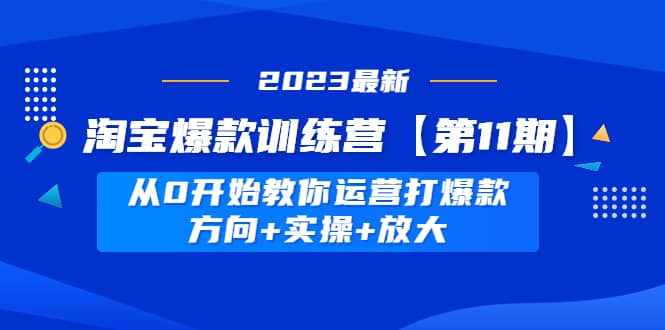淘宝爆款训练营【第11期】 从0开始教你运营打爆款,方向 实操 放大-墨痕微课
