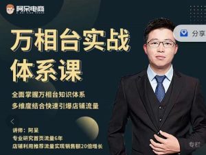 阿呆-万相台实战体系课,帮您全面掌握万相台知识体系-墨痕微课