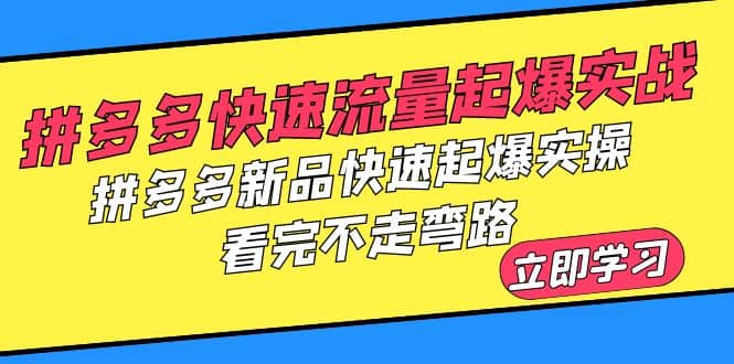 拼多多-快速流量起爆实战，拼多多新品快速起爆实操，看完不走弯路-墨痕微课