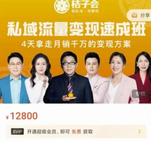 桔子会·私域流量变现速成班,4天拿走月销千万的变现方案 价值12800元-墨痕微课