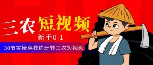 三农短视频从0~1运营课:30节实操课教练玩转三农短视频-墨痕微课