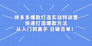 拼多多爆款打造实战特训营:快速打造爆款方法,从入门到高手 日破百单-墨痕微课