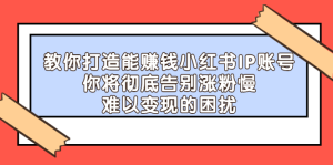 教你打造能赚钱小红书IP账号,了解透彻小红书的真正玩法-墨痕微课
