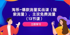淘系-爆款流量实战课(搜索流量),主攻免费流量(13节课)-墨痕微课