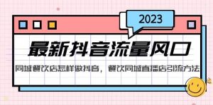2023最新抖音流量风口,同城餐饮店怎样做抖音,餐饮同城直播店引流方法-墨痕微课