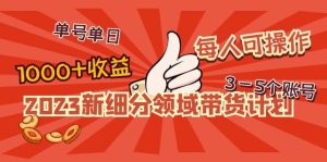 2023新细分领域带货计划：单号单日1000 收益不难，每人可操作3-5个账号-墨痕微课