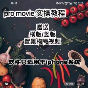 漆十二美食摄影,25节promovie实操高手课节-墨痕微课