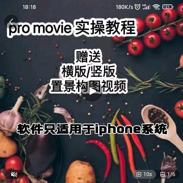 漆十二美食摄影,25节promovie实操高手课节-墨痕微课