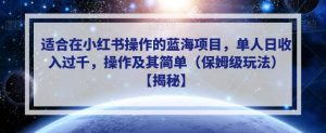 适合在小红书操作的蓝海项目,单人日收入过千,操作及其简单(保姆级玩法)【揭秘】-墨痕微课