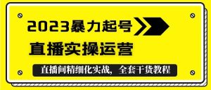 2023暴力起号 直播实操运营,全套直播间精细化实战,全套干货教程-墨痕微课
