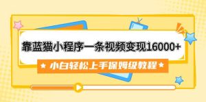 靠蓝猫小程序一条视频变现16000 小白轻松上手保姆级教程（附166G资料素材）-墨痕微课