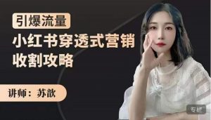 苏歆:小红书穿透式营销收割攻略,引爆流量,助你玩转小红书-墨痕微课