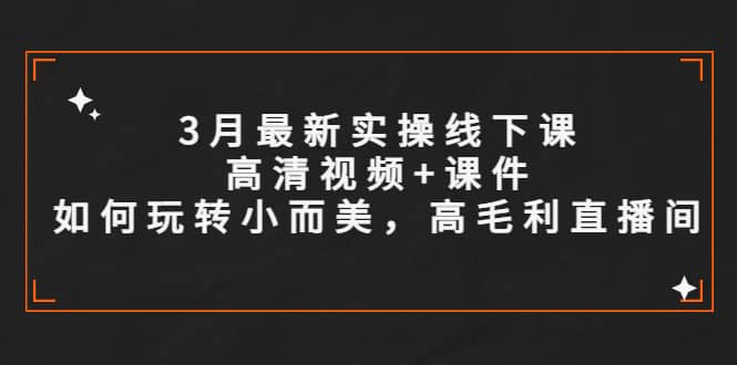 3月最新实操线下课高清视频 课件,如何玩转小而美,高毛利直播间-墨痕微课
