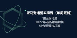 亚马逊运营实操课(每周更新)包括亚马逊2022选品策略解析,综合运营技巧等-墨痕微课