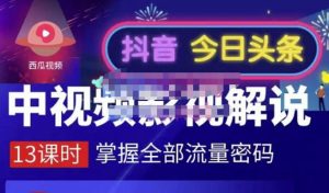 嚴如意·中视频影视解说—掌握流量密码,自媒体运营创收,批量运营账号-墨痕微课