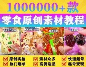 抖音零食起号教程,手把手教你做爆款视频,暴利变现(附赠原创高清素材)-墨痕微课