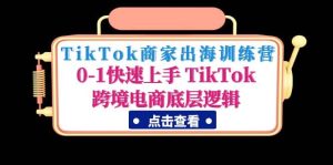 TikTok商家出海训练营:0-1快速上手 TikTok跨境电商底层逻辑(无水印)-墨痕微课