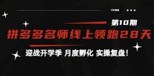 《拼多多名师线上领跑28天-第10期》迎战开学季 月度孵化 实操复盘!-墨痕微课