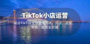 TikTok小店运营 抢占TikTok全球蓝海市场,开店、运营、带货、投流全实操-墨痕微课